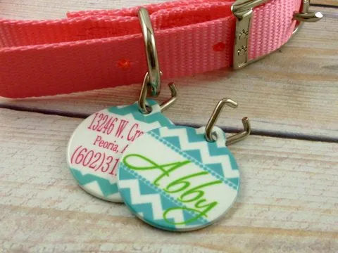 Teal Chevron Pet ID