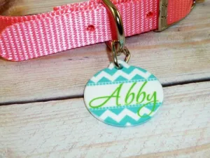 Teal Chevron Pet ID