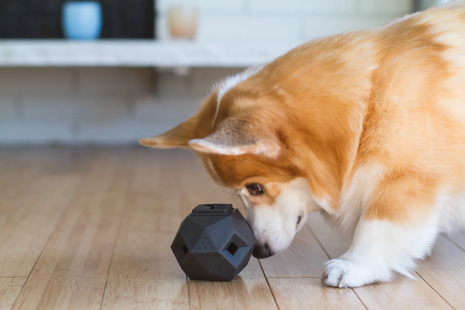 The Odin Dog Treat Puzzle Toy