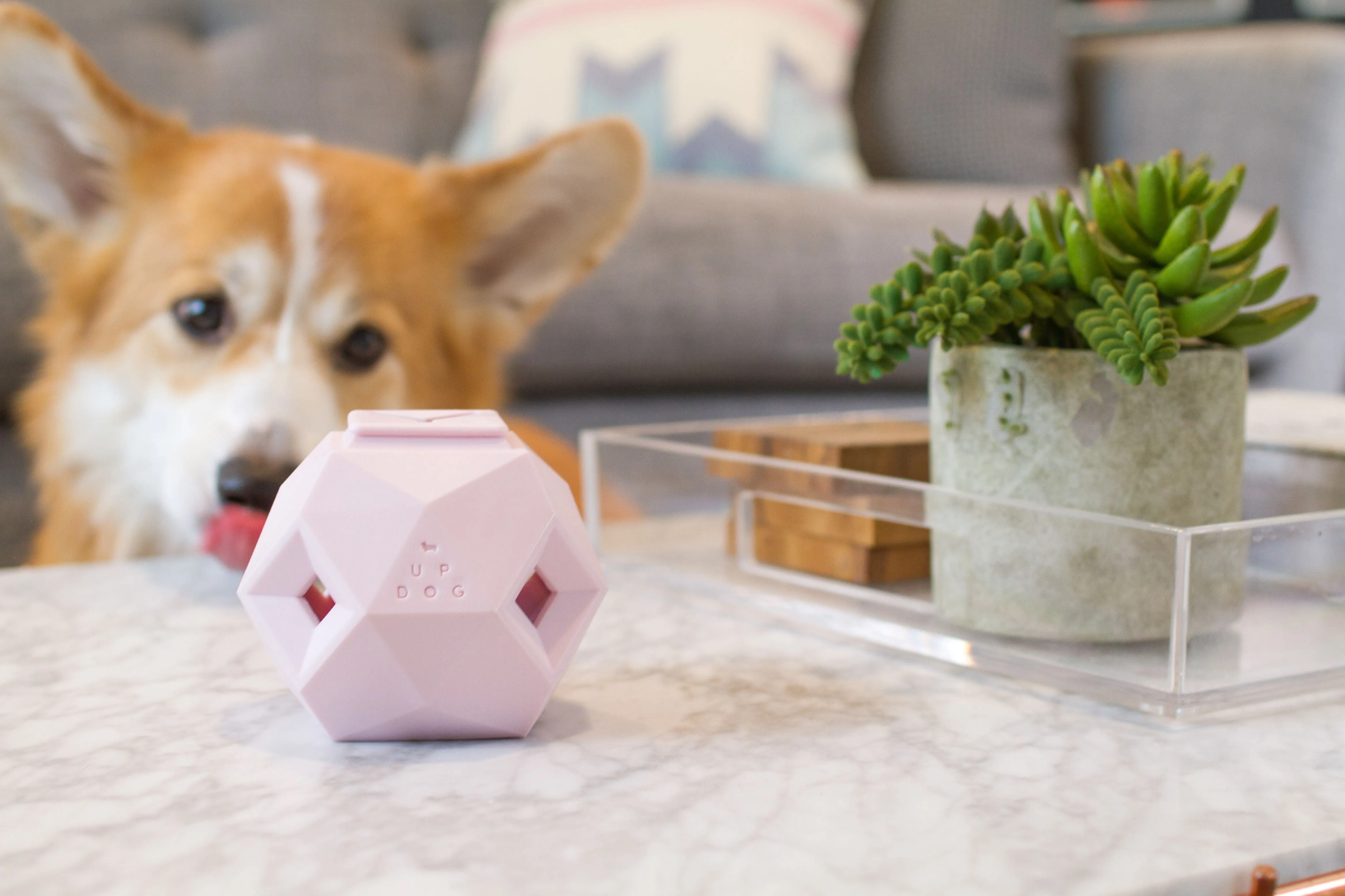 The Odin Dog Treat Puzzle Toy