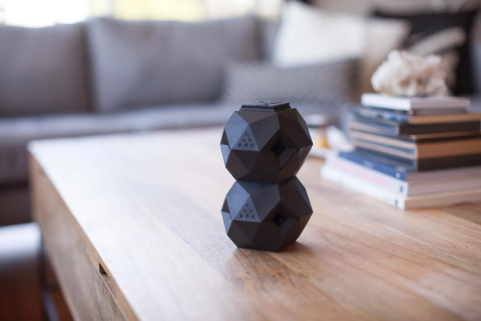 The Odin Dog Treat Puzzle Toy
