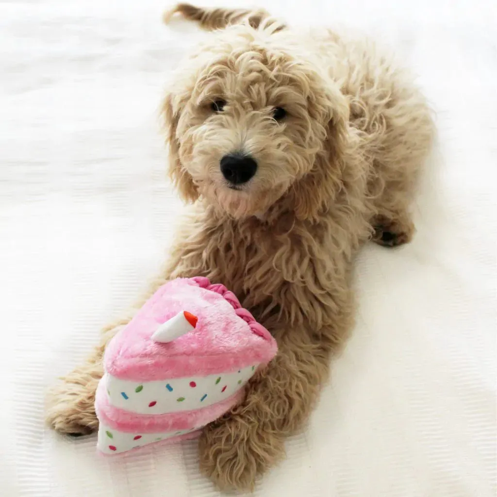 ZippyPaws Dog Toy Birthday Cake